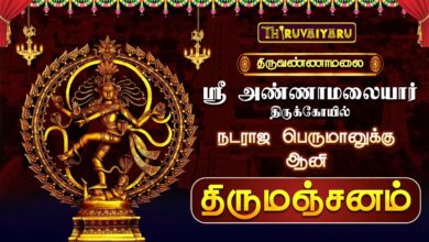 Photo of திருவண்ணாமலை ஸ்ரீ அண்ணாமலையார் ஆலய நடராஜ பெருமானுக்கு ஆனி திருமஞ்சனம் | Aani Thirumanjanam
