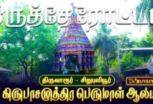 Photo of திருவாரூர் – சிறுபுலியூர் ஸ்ரீ கிருபாசமுத்திர பெருமாள் ஆலய வைகாசி திருவிழா திருத்தேரோட்டம்