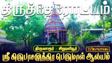 Photo of திருவாரூர் – சிறுபுலியூர் ஸ்ரீ கிருபாசமுத்திர பெருமாள் ஆலய வைகாசி திருவிழா திருத்தேரோட்டம்