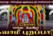 Photo of திருவையாறு – லிங்கத்தடி புதுத்தெரு ஸ்ரீ காளியம்மன் ஆலய பால்குடம் திருவிழா சுவாமி புறப்பாடு