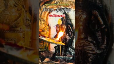 Photo of லிங்கத்தடி புதுத்தெரு ஸ்ரீ காளியம்மன் ஆலய பால்குட திருவிழா அபிஷேகம் #thiruvaiyaru #kaliyamman #ltp