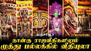 Photo of தஞ்சாவூர் நான்கு ராஜவீதிகளிலும் முத்துப் பல்லக்கில் வீதியுலா | Muthu Pallakku Veethiyula