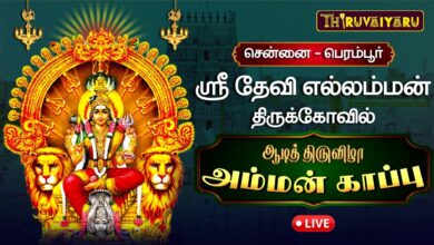 Photo of 🔴LIVE : சென்னை – பெரம்பூர் ஸ்ரீ தேவி எல்லம்மன் கோவில் ஆடித் திருவிழா அம்மன் காப்பு | Amman Kaappu