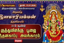 Photo of 🔴LIVE : பொன்னாவரை ஸ்ரீ இளமாரியம்மன் ஆலய 28-ம் ஆண்டு குத்துவிளக்கு பூஜை & சந்தனகாப்பு அலங்காரம்
