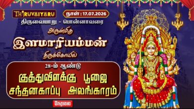 Photo of 🔴LIVE : பொன்னாவரை ஸ்ரீ இளமாரியம்மன் ஆலய 28-ம் ஆண்டு குத்துவிளக்கு பூஜை & சந்தனகாப்பு அலங்காரம்