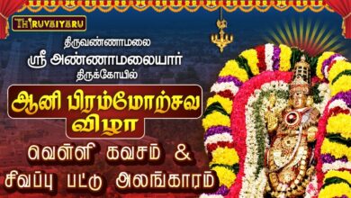 Photo of திருவண்ணாமலை ஸ்ரீ அண்ணாமலையார் ஆலய ஆனி பிரம்மோற்சவம் வெள்ளி கவசம் & சிவப்பு பட்டு அலங்காரம்