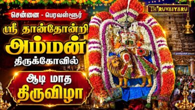 Photo of சென்னை – பெரவள்ளூர் ஸ்ரீ தான்தோன்றி அம்மன் திருக்கோவில் ஆடி மாத திருவிழா