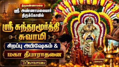 Photo of திருவண்ணாமலை ஸ்ரீ அண்ணாமலையார் கோயில் ஸ்ரீ சுந்தரமூர்த்தி சுவாமி சிறப்பு அபிஷேகம் & மகா தீபாராதனை