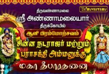 Photo of திருவண்ணாமலை ஸ்ரீ அண்ணாமலையார் ஆலய ஆனி பிரம்மோற்சவம் நாள்–8  | Day–8