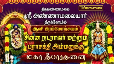 Photo of திருவண்ணாமலை ஸ்ரீ அண்ணாமலையார் ஆலய ஆனி பிரம்மோற்சவம் நாள்–8 | Day–8