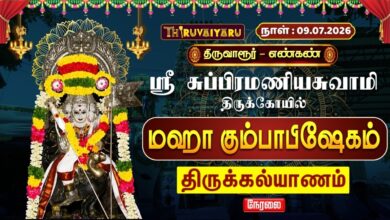 Photo of 🔴LIVE: திருவாரூர் – எண்கண் ஸ்ரீ சுப்பிரமணியசுவாமி ஆலய மஹா கும்பாபிஷேக திருக்கல்யாணம் | Thirukalyanam