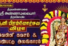 Photo of திருவண்ணாமலை ஸ்ரீ அண்ணாமலையார் ஆலய ஆனி பிரம்மோற்சவம் நாள்–4 வெண்பட்டு அலங்காரம்