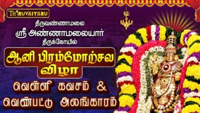 Photo of திருவண்ணாமலை ஸ்ரீ அண்ணாமலையார் ஆலய ஆனி பிரம்மோற்சவம் நாள்–4 வெண்பட்டு அலங்காரம்