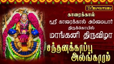 Photo of காரைக்கால் ஸ்ரீ காரைக்கால் அம்மையார் ஆலய மாங்கனி திருவிழா சந்தனக்காப்பு அலங்காரம் | Sandhana Kaappu