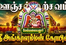 Photo of மேல்மலையனூர் ஸ்ரீ அங்காளம்மன் திருக்கோயில் ஆனி மாத அமாவாசை ஊஞ்சல் உற்சவம் | Unjal Urchavam