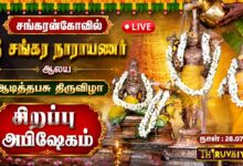 Photo of 🔴LIVE: சங்கரன்கோவில் ஸ்ரீ சங்கர நாராயணர் ஆலய ஆடித்தபசு திருவிழா சிறப்பு அபிஷேகம் | Sirappu Abishekam