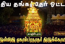 Photo of காஞ்சிபுரம் அருள்மிகு ஏகாம்பரநாதர் திருக்கோயில் புதிய தங்கத்தேர் | Thangather