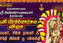 Photo of திருவண்ணாமலை ஸ்ரீ அண்ணாமலையார் ஆலய ஆனி பிரம்மோற்சவம் நாள்–7 பூ பல்லக்கு | Poo Pallakku