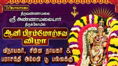 Photo of திருவண்ணாமலை ஸ்ரீ அண்ணாமலையார் ஆலய ஆனி பிரம்மோற்சவம் நாள்–7 பூ பல்லக்கு | Poo Pallakku