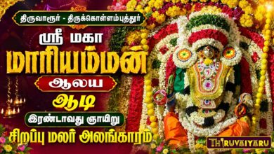 Photo of திருவாரூர் – திருக்கொள்ளம்புதூர் ஸ்ரீ மகா மாரியம்மன் ஆலய ஆடி இரண்டாவது ஞாயிறு சிறப்பு மலர் அலங்காரம்