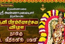 Photo of திருவண்ணாமலை ஸ்ரீ அண்ணாமலையார் ஆலய ஆனி பிரம்மோற்சவம் நாள்–6 நான்கு மாட வீதிகளில் பவனி | Day-6