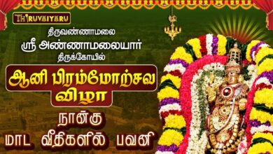 Photo of திருவண்ணாமலை ஸ்ரீ அண்ணாமலையார் ஆலய ஆனி பிரம்மோற்சவம் நாள்–6 நான்கு மாட வீதிகளில் பவனி | Day-6