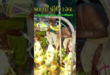 Photo of பழமுதிர்சோலை ஸ்ரீ முருகன் ஆலய கும்பாபிஷேகம் #palamudhirsolai #madurai #alagarkovil #muruga #trending