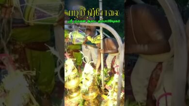 Photo of பழமுதிர்சோலை ஸ்ரீ முருகன் ஆலய கும்பாபிஷேகம் #palamudhirsolai #madurai #alagarkovil #muruga #trending