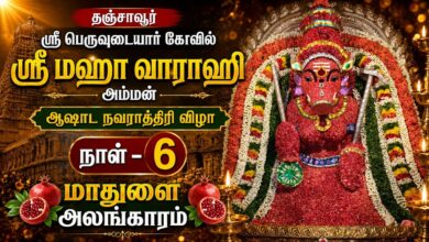 Photo of 🔴தஞ்சாவூர் ஸ்ரீ பெருவுடையார் கோவில் ஸ்ரீ வாராஹி அம்மன் ஆஷாட நவராத்திரி நாள் மாதுளை அலங்காரம் நாள் 6