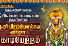 Photo of திருவண்ணாமலை ஸ்ரீ அண்ணாமலையார் ஆலய ஆனி பிரம்மோற்சவ விழா கொடியேற்றம் | Kodiyetram