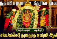 Photo of ஆம்பூர் ஸ்ரீ சமயவல்லி நாகநாத சுவாமி ஆலய ஆனி மாத கிருத்திகை முருகப்பெருமான் தேரில் வலம்