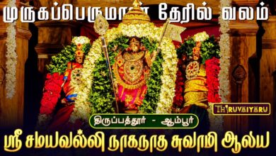 Photo of ஆம்பூர் ஸ்ரீ சமயவல்லி நாகநாத சுவாமி ஆலய ஆனி மாத கிருத்திகை முருகப்பெருமான் தேரில் வலம்