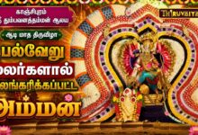 Photo of காஞ்சிபுரம் ஸ்ரீ தும்பவனத்தம்மன் ஆலய ஆடி மாத திருவிழா பல்வேறு மலர்களால் அலங்கரிக்கப்பட்ட அம்மன்