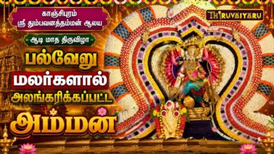 Photo of காஞ்சிபுரம் ஸ்ரீ தும்பவனத்தம்மன் ஆலய ஆடி மாத திருவிழா பல்வேறு மலர்களால் அலங்கரிக்கப்பட்ட அம்மன்