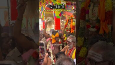 Photo of எண்கண் ஸ்ரீ சுப்பிரமணிய சுவாமி கும்பாபிஷேகம் #engan #kumbabishekam #murugan #thiruvaiyaru #trending