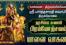 Photo of சென்னை – திருவல்லிக்கேணி ஸ்ரீ பார்த்தசாரதி சுவாமி ஆலய நரசிம்ம சுவாமி பிரம்மோற்சவம் யானை வாகனம்