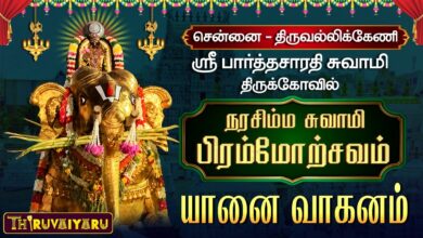 Photo of சென்னை – திருவல்லிக்கேணி ஸ்ரீ பார்த்தசாரதி சுவாமி ஆலய நரசிம்ம சுவாமி பிரம்மோற்சவம் யானை வாகனம்