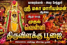 Photo of காரைக்கால் – அகர சேத்தூர் ஸ்ரீ மகா மாரியம்மன் ஆலய ஆடி மாத முதல் வெள்ளி திருவிளக்கு பூஜை