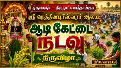 Photo of திருவாரூர் – திருநாட்டியாத்தான்குடி ஸ்ரீ ரெத்தினபுரீஸ்வரர் ஆலய ஆடிகேட்டை நடவு திருவிழா