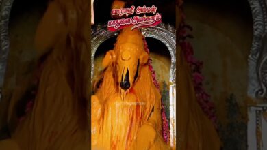 Photo of ஆஷாட நவராத்திரி தஞ்சாவூர் பெருவுடையார் ஸ்ரீ வாராஹி அம்மன் மாதுளை அலங்காரம் #thiruvaiyaru #thanjavur