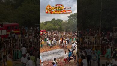 Photo of வல்லம் ஸ்ரீ ஏகௌரி அம்மன் தீமிதி #thiruvaiyaru #thanjavurpullingow #vallam #egowri #trendingreels