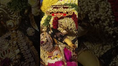 Photo of ஸ்ரீ தேவி எல்லம்மன் பெரம்பூர் #thiruvaiyaru #Perambur #ellamman #alangaram #trendingsong