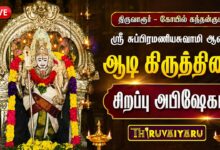 Photo of 🔴LIVE : திருவாரூர் – கோயில் கந்தன்குடி ஸ்ரீ சுப்பிரமணியசுவாமி ஆலய ஆடி கிருத்திகை சிறப்பு அபிஷேகம்