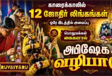 Photo of காரைக்காலில் ஒரே இடத்தில் 12 ஜோதிர்லிங்கங்கள் பொதுமக்கள் கைகளால் அபிஷேகம் | Abishekam