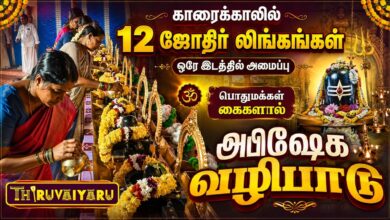 Photo of காரைக்காலில் ஒரே இடத்தில் 12 ஜோதிர்லிங்கங்கள் பொதுமக்கள் கைகளால் அபிஷேகம் | Abishekam