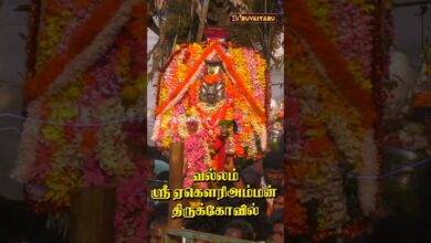 Photo of வல்லம் ஸ்ரீ ஏகௌரி அம்மன் ஆலய தீமிதி திருவிழா #thiruvaiyaru #vallam #theemithi #amman #trendingreels
