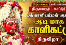 Photo of 🔴LIVE : திருவாரூர் – காட்டூர் ஸ்ரீ காளியம்மன் ஆலய ஆடி மாத காளிகட்டு திருவிழா | Kalikattu Festival