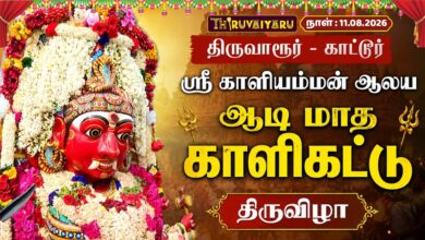 Photo of 🔴LIVE : திருவாரூர் – காட்டூர் ஸ்ரீ காளியம்மன் ஆலய ஆடி மாத காளிகட்டு திருவிழா | Kalikattu Festival