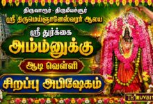 Photo of திருவாரூர் ஸ்ரீ திருமெய்ஞானேஸ்வரர் ஆலய ஸ்ரீ துர்க்கை அம்மனுக்கு ஆடி வெள்ளி சிறப்பு அபிஷேகம்