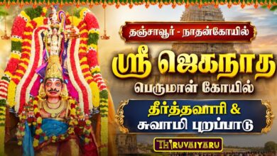 Photo of தஞ்சாவூர் – நாதன்கோயில் ஸ்ரீ ஜெகநாத பெருமாள் கோயில் தீர்த்தவாரி & சுவாமி புறப்பாடு | Theerthavari